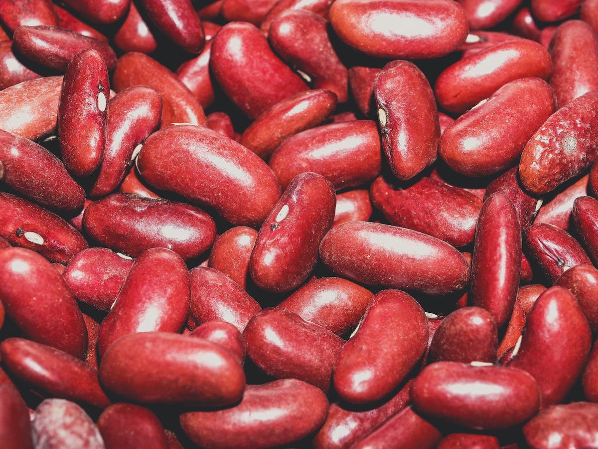 Haricots rouge Les Jardins De Castelnau Organic Food